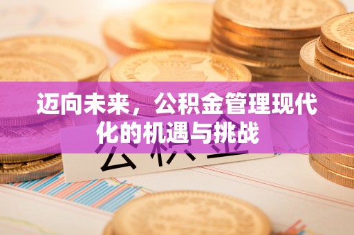 什邡迈向未来，公积金管理现代化的机遇与挑战