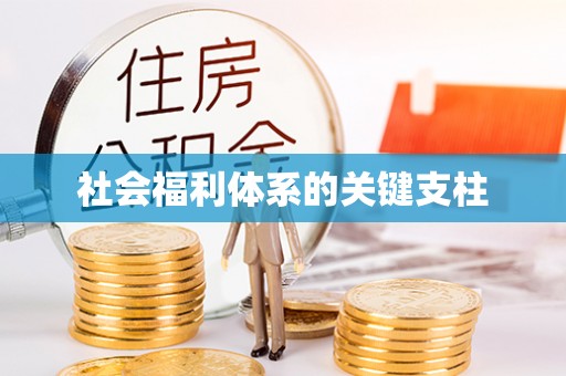 什邡社会福利体系的关键支柱
