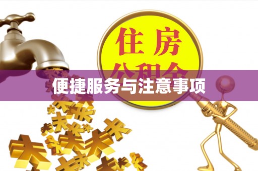 什邡便捷服务与注意事项