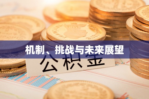 什邡机制、挑战与未来展望